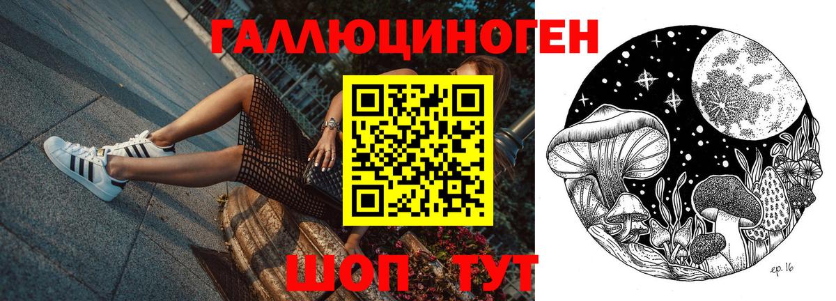 Галлюциногенные грибы Psilocybine cubensis  Вход с VPN  Воткинск 